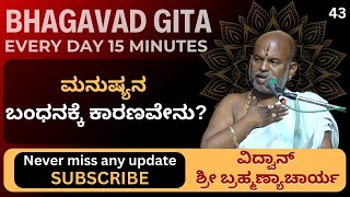 Bhagavad Gita by Brahmanyacharya |15 minutes Everyday | ಅಶ್ವತ್ಥ ವೃಕ್ಷ