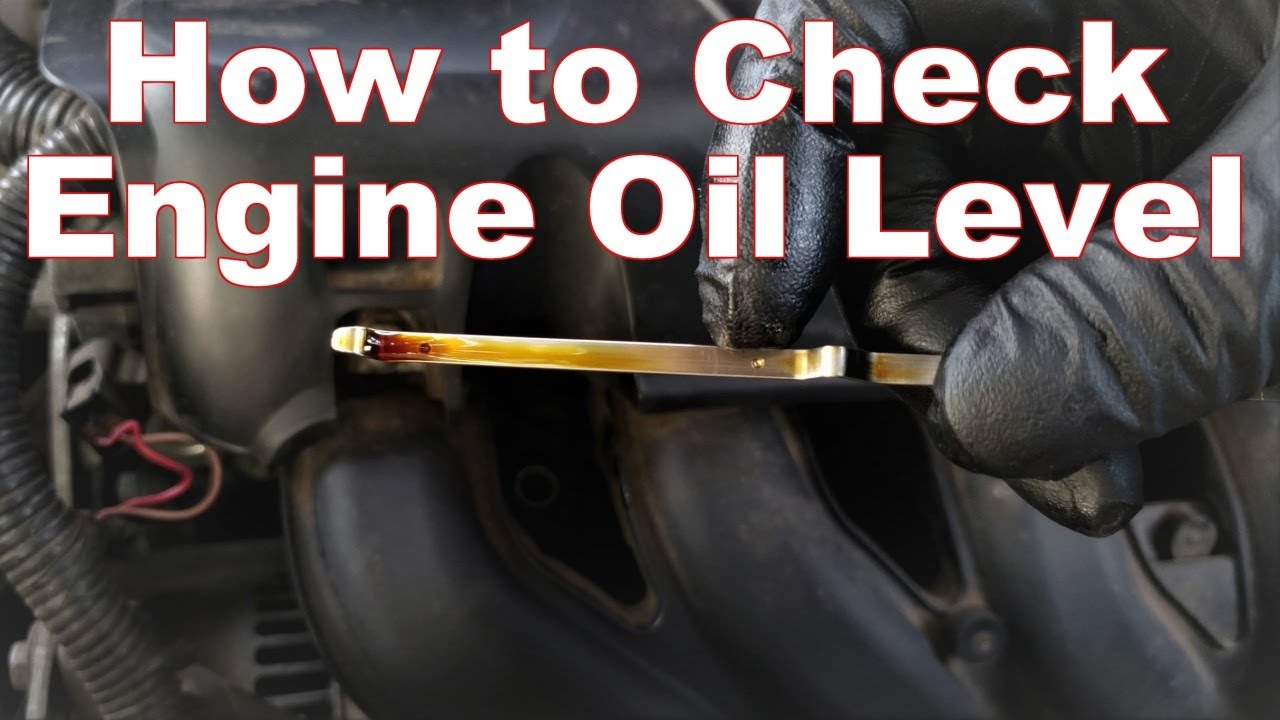 How To Check Your Oil Level & Read Your Dipstick - YouTube