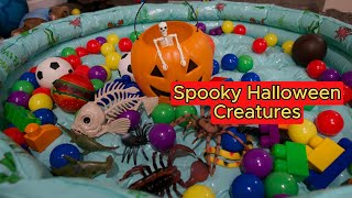 Halloween video for kids | Educational Halloween activities for kids and toddlers | animals and bugs