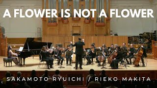 Ryuichi Sakamoto (arr. Rieko Makita) - A flower is not a flower