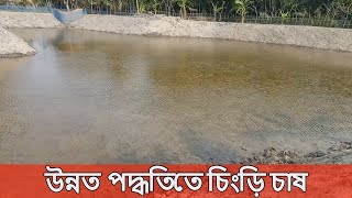 আধুনিক ও উন্নত পদ্ধতিতে চিংড়ি চাষ শুরু করে লাভের মুখ দেখছেন। চিংড়ি চাষে অন্যরাও উদ্ভুদ্ধ হচ্ছেন।