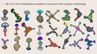 Stem Cell Differentiation Shapes the Evolution of Reproducible Morphogenesis - Dominic Devlin