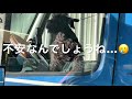 トラックドライバーpunk【コロラド〜ノースダコタ〜アイオワまで】