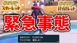 【ポケモンSV】限定配布今ならまだ間に合う。公式から色違いゲッコウガが入手できてしまう可能性のある映像が出回る【スカーレット/バイオレット/攻略/実況/考察/レイド/対戦/配布/アプデ/アップデート