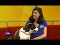 pet of the week paxly