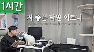 [1시간 반복재생] [찬송가 245장] 저 좋은 낙원 이르니 (I've Reached the Land of Corn and Wine)ㅣ호연하다