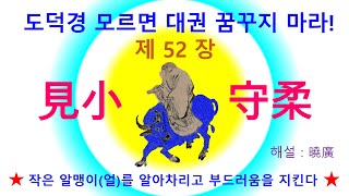 도덕경 모르면 대권 꿈꾸지 마라! 제52장- 見小守柔 작은 알맹이(얼)를 알아차리고 부드러움을 지킨다. #노자 #도덕경 #노자도덕경 #어머니 #밝음 #대권 #꿈 #천하 #만물 #도