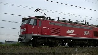 ﾚｯﾄﾞｻﾝﾀﾞｰEF510-21牽引　高速貨物3097ﾚ　広島→新潟