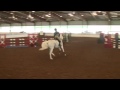 video of absolute envy ridden by halle kutsche from shownet