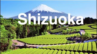 Go Go!!!!!shizuoka 1 วัน ไปกลับโตเกียว ไร่ชา ท่าเรือ ทะเล จิบิมารูโกะ