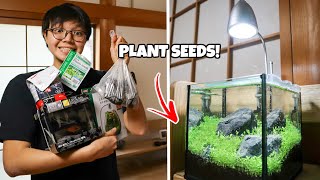 MINI IWAGUMI AQUARIUM Using Plant Seeds! CRAZY GROWTH