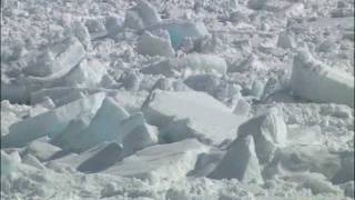 【クラブツーリズム】冬の北海道名物 『流氷・流氷鳴きの様子』