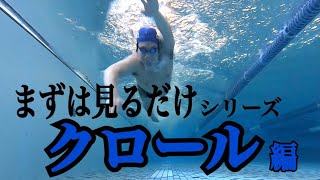 【クロール】見てイメトレ！！水中映像