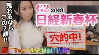 【競馬予想】G2日経新春杯2018【さくまみお】