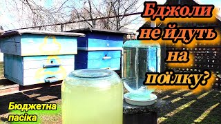 Як привчити бджіл до поїлки з водою? Скільки солі давати в воду бджолам?