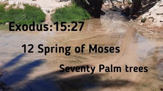 EXODUS: 15:27   The 12spring moses(well of moses)and Seventy palm trees.