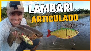 Lambari Articulado Catches! The trairas can't resist #fishing