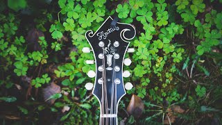 Irish Jig Triplets Mandolin Lesson Chords Chordify