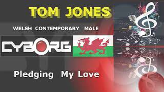 FUA - Tom Jones - Pledging My Love KARAOKE VR