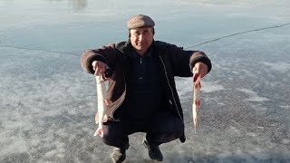 Qishki baliq ovi mavsumi boshlandi! Muzda baliq ovi -20°.Подлёдная рыбалка 🦈🐟