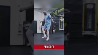 Floyd Mayweather Gym Skilled At Jumping Rope