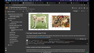 Neural Style Transfer using Tensorflow tutorial