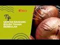 Tip Simpan Bawang Boleh Tahan Berbulan