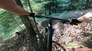 MTB Trails Offenburg - Abfahrt vom Brandeckkopf zur Wolfsgrube runter