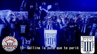 Gallina la puta que te parió - Cántico Comando Svr (lyrics)