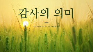 감사의 의미 | 고전1:4-7 | 2024년 7월 7일 사랑이 머무는 교회 주일 오전예배 | 이상용 목사