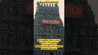 கோவில் கோபுரத்தின் சிறப்பு என்ன எதற்காக கோபுரத்தை கும்பிடுகிறோம்