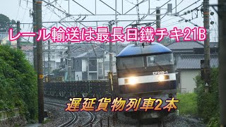 JR貨物 2020/07/27 雨の月曜日 レール輸送と遅延貨物2本