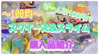 〜100均〜　スクイーズ\u0026スライム購入品紹介