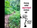 අම්මෝ ඕයි 😂😂😂 veryfunny funnyimages comedy