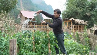 A Day on the Farm: From Growing Vegetables to Jack's Endless Love for His Children. Ly Tieu Tay