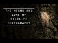 Wildlife Photography in the New Forest! Tips, Birds, Ponies and Cameras!