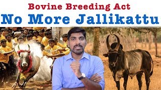 ஜல்லிக்கட்டுக்கு இப்படி ஒரு சட்டம் | Tamil Nadu Bovine Breeding Act 2019 | Tamil Pokkisham