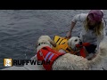 Next Adventure - Matt from Ruffwear shows off PFD's for our furry friends