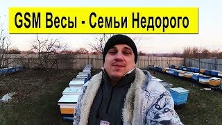 Где купить недорого пчелосемьи ✅ GSM Весы для пасеки Мой отзыв