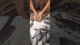 tilapia fish cleaning... #ஜிலேபி #மீன் சுத்தம் செய்தல் #காவேரி #ஆத்து மீன் #jilepi