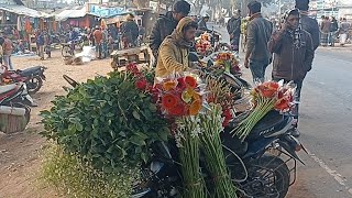 যশোরের গদখালীর ফুল চাষিদের ফুল বিক্রি | বিভিন্ন জাতের গোলাপের দাম জানুন ||