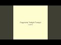 Fragments Twilight Tranquil