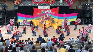 KAWATANA踊り連〜孔雀〜 2017YOSAKOIかすや祭り