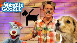 Warum können Hunde so gut riechen? l WOOZLE GOOZLE