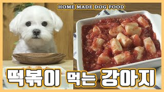 떡볶이 먹는 강아지!!! [강아지 먹방] [강아지 간식 만들기] [HOME MADE DOG FOOD]