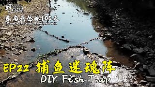 EP22 忍饥挨饿，制作大型捕鱼迷魂阵丨挑战丛林生存100天 DAY10