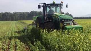 Cross Slot Drilling into Mustard