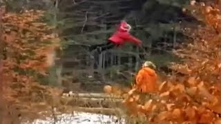 5 Unexplained Miracles Caught On Camera