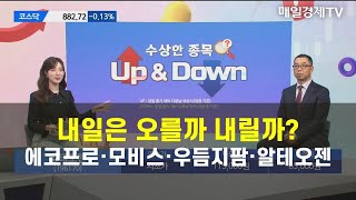 [수상한 종목 UP\u0026DOWN] 내일은 오를까 내릴까?에코프로·모비스·루닛·우듬지팜·알테오젠이권희 / 하이투자증권 부장