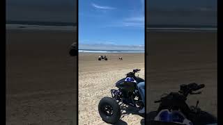 Atv fail #fail #fails #fall #flipaclip #funny #atv #trx450 #honda #hondaatv #wheelie #wheelies